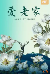 爱·老家封面图