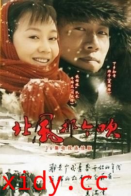 北风那个吹封面图