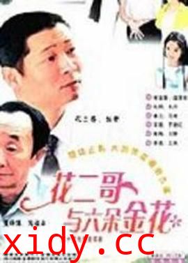 花二哥与六朵金花封面图