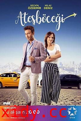 萤火虫2017封面图