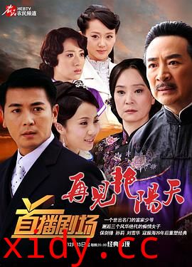 再见艳阳天2009封面图