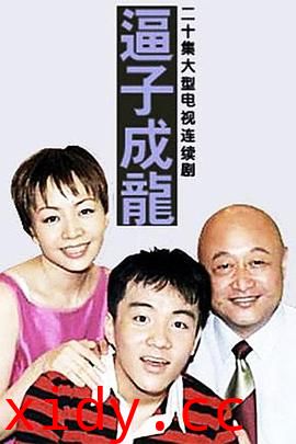 逼子成龙封面图