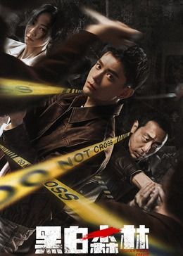 黑白森林封面图