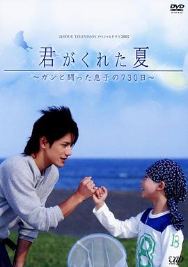 你给我的夏天封面图