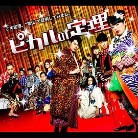 Picaru的定理封面图