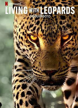 豹崽同行封面图