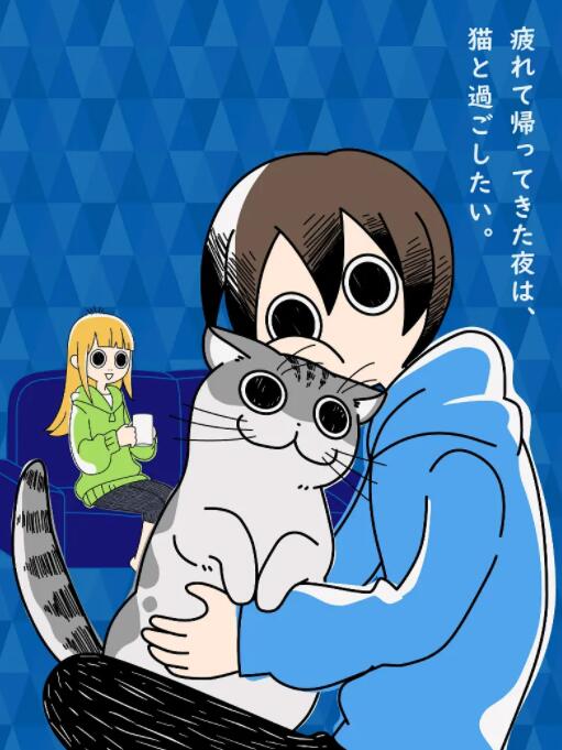 关于养猫我一直是新手封面图