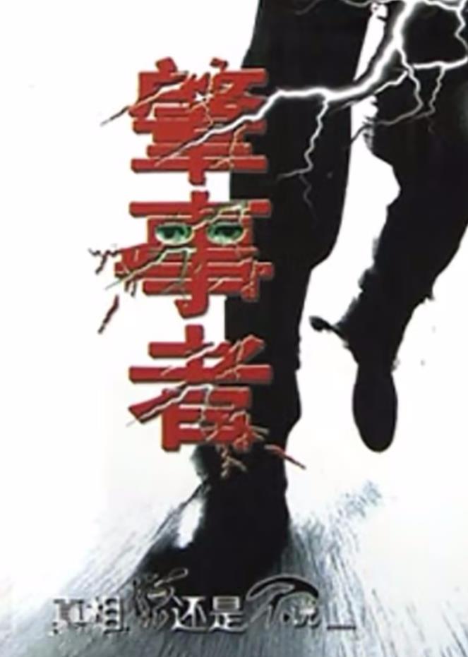 肇事者2004封面图