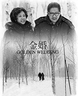 金婚2007封面图