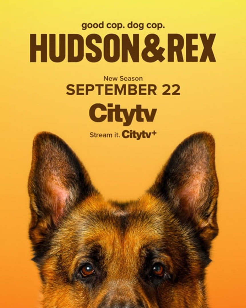 哈德森与雷克斯第八季封面图